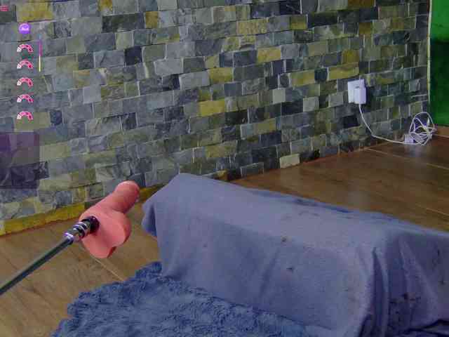 SelenSummer webcam