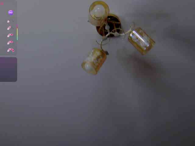 SelenSummer webcam