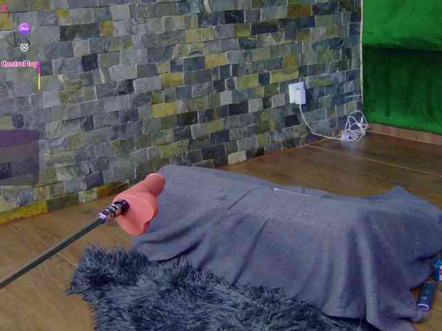 SelenSummer webcam