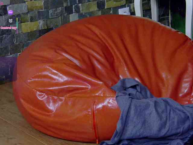 SelenSummer webcam