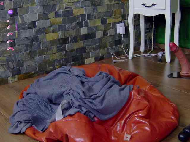 SelenSummer webcam