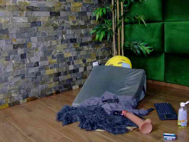 SelenSummer webcam