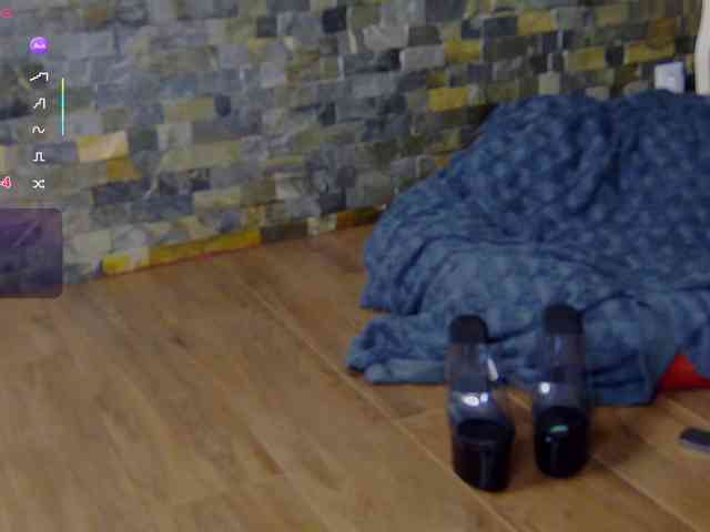 SelenSummer webcam