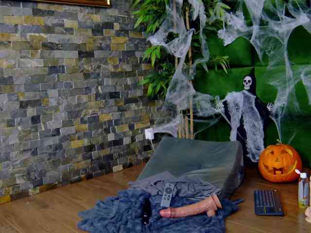 SelenSummer webcam
