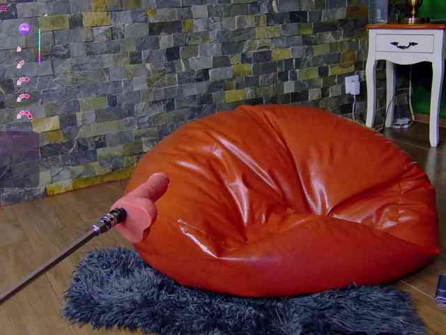 SelenSummer webcam