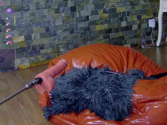 SelenSummer webcam