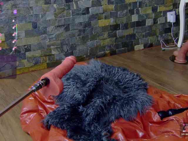 SelenSummer webcam