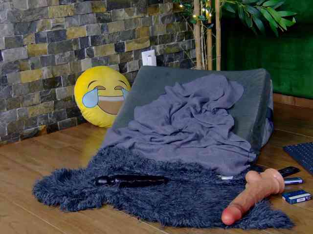 SelenSummer webcam