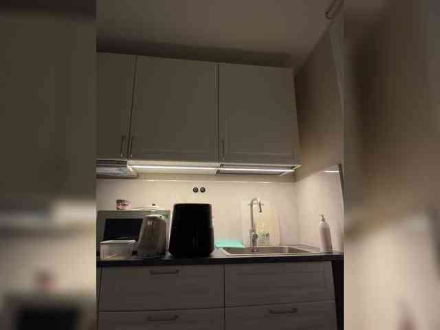_Lisichka webcam