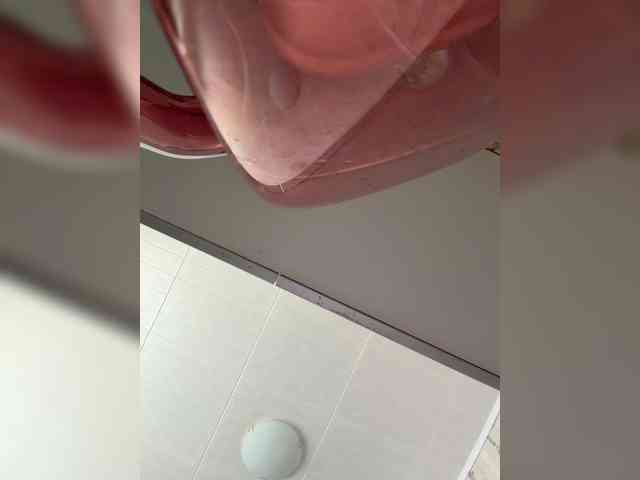 _Lisichka webcam