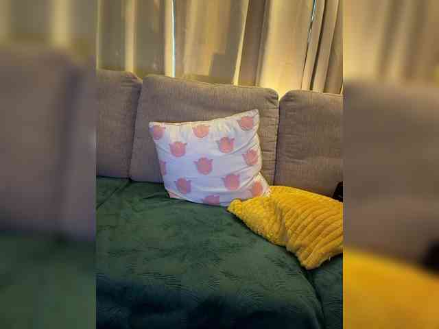 _Un webcam