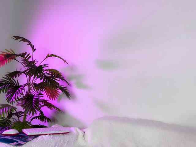 Oops_kiraa webcam