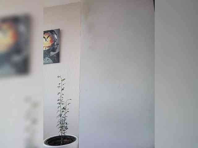 BonitaStar webcam
