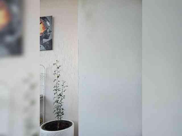 BonitaStar webcam