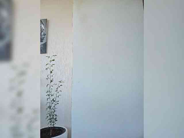 BonitaStar webcam