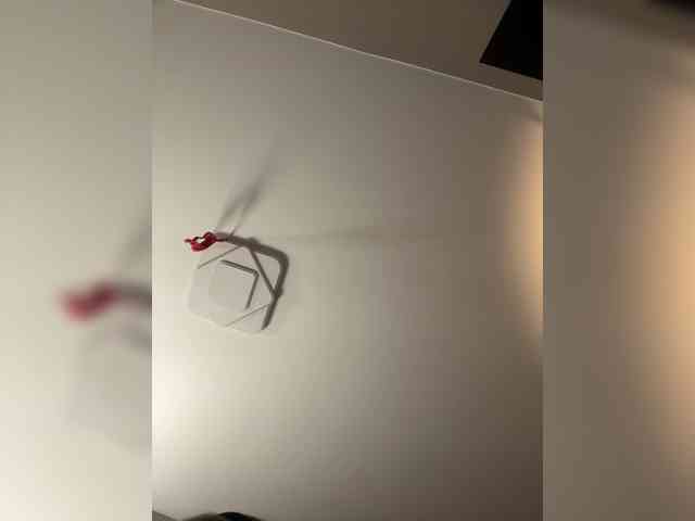 YourLadyyy webcam
