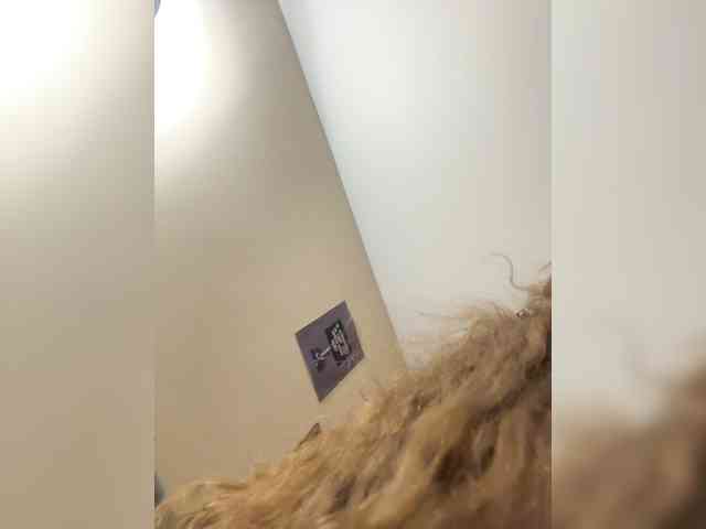 cam chat LadyEmily