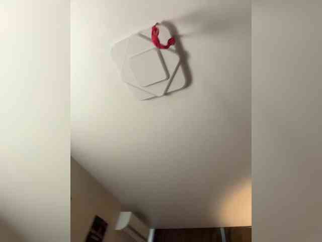 YourLadyyy webcam