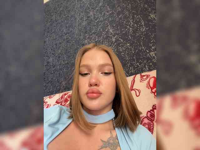 Modelo: AriWafe