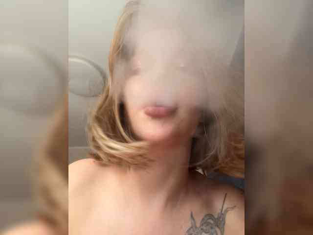 AriWafe webcam