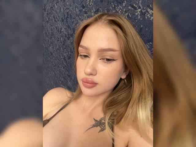 AriWafe webcam