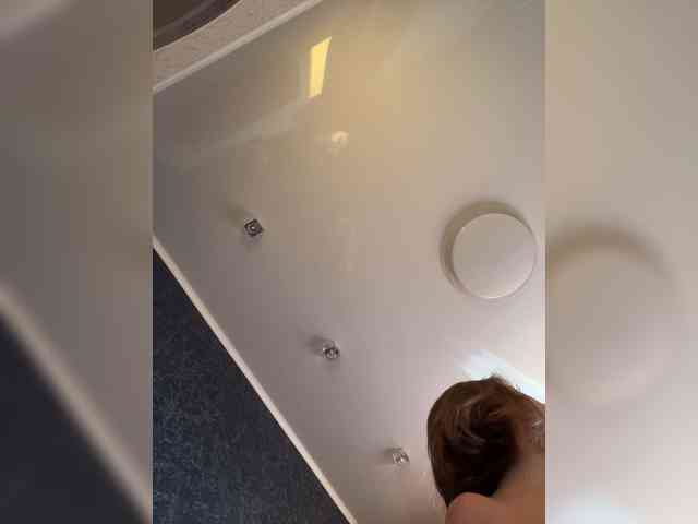AriWafe webcam