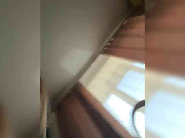 AriWafe webcam
