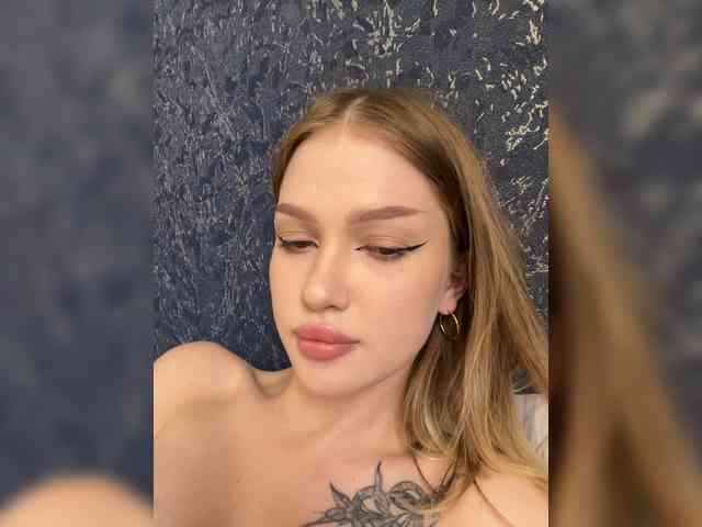 Модель: AriWafe