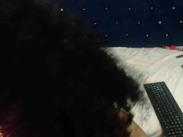 sofiacowperx webcam