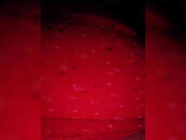 Xo4y-SeX-TpaX webcam