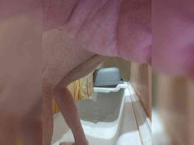 Oleg_lily webcam