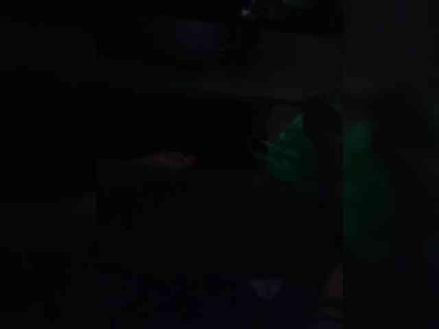 Oleg_lily webcam