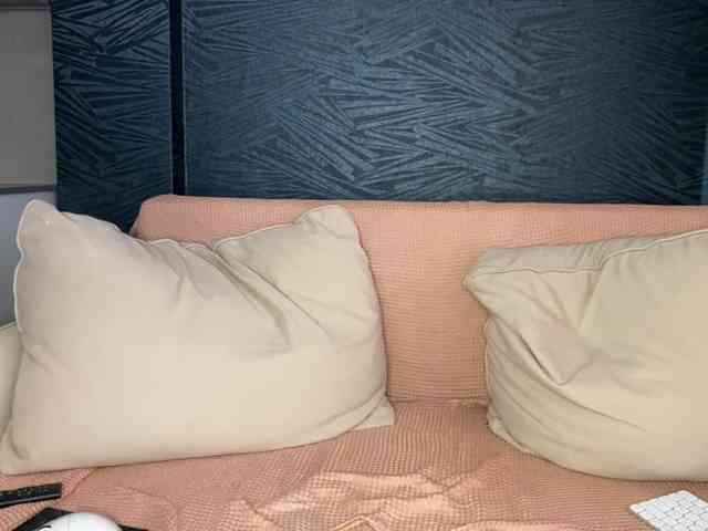 -molly-'s cam show statistics and live stream