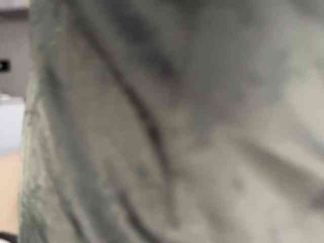 -Molly- webcam