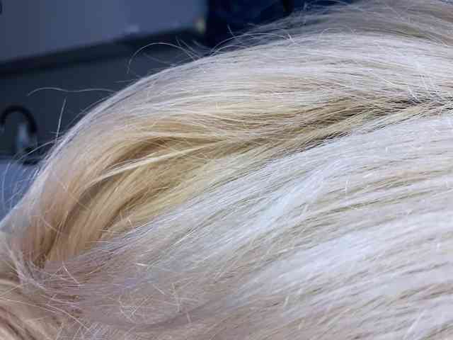 -Molly- webcam