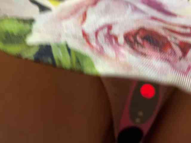 -Molly- webcam