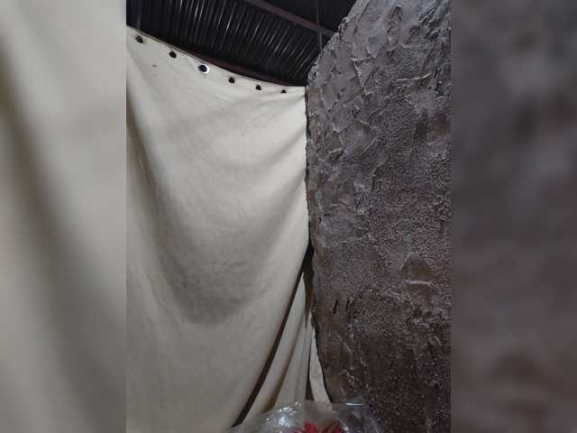 asianblossom live cam preview
