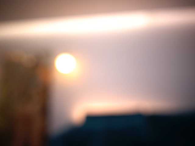 AmiraRoshen