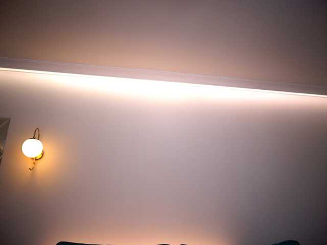 AmiraRoshen live cam on BongaCams