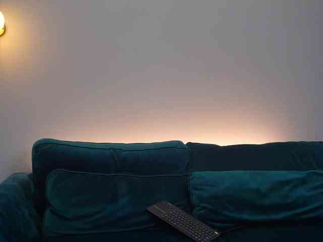 AmiraRoshen webcam