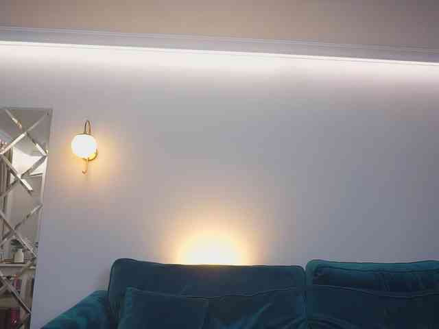AmiraRoshen webcam