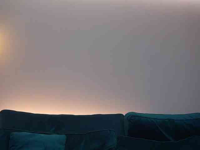 AmiraRoshen webcam