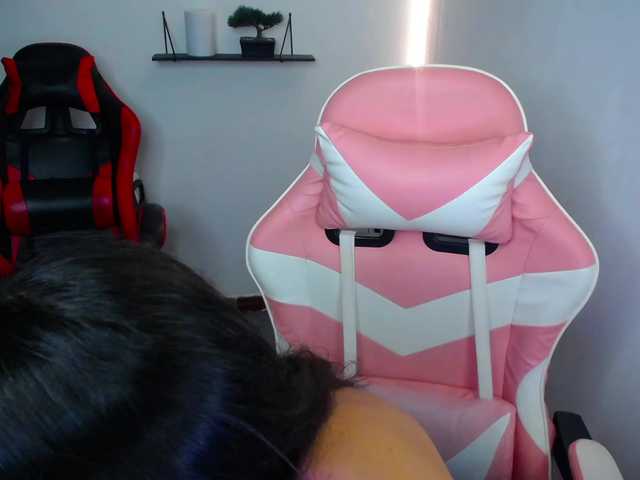 room-kitty