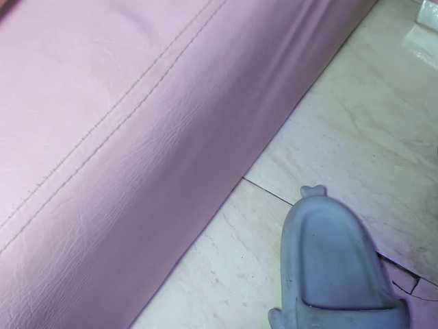 room-kitty live cam