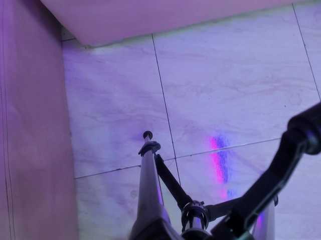 Preview of room-kitty