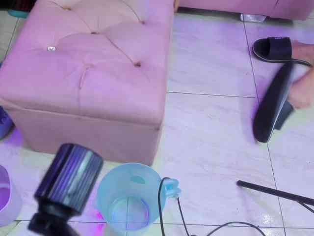room-kitty webcam