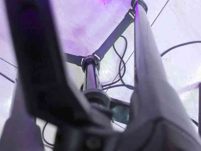 Room-kitty's cam show statistics and live stream