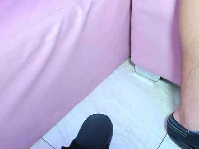 room-kitty webcam