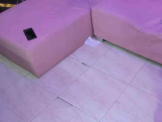 room-kitty webcam