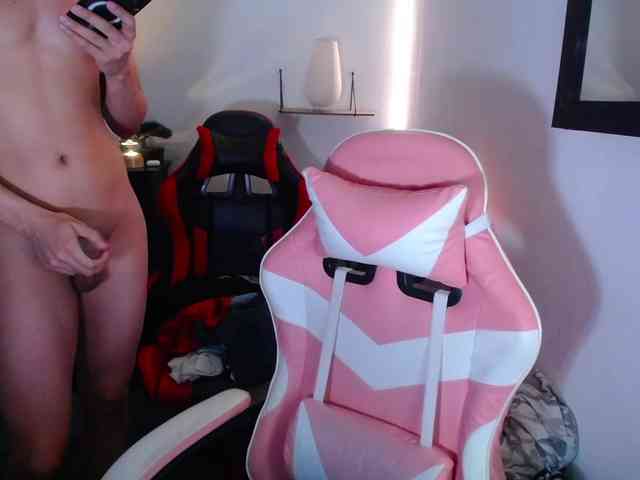 room-kitty webcam